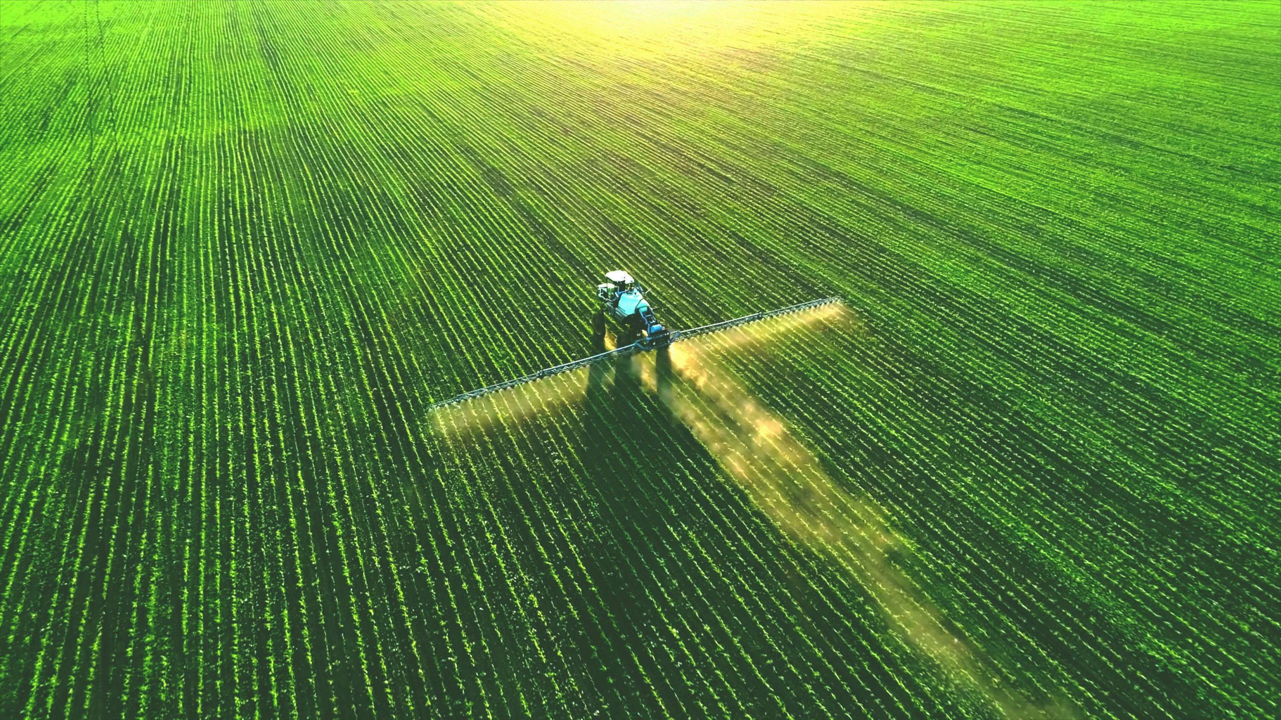 Spraying Agricultural Chemical over crop