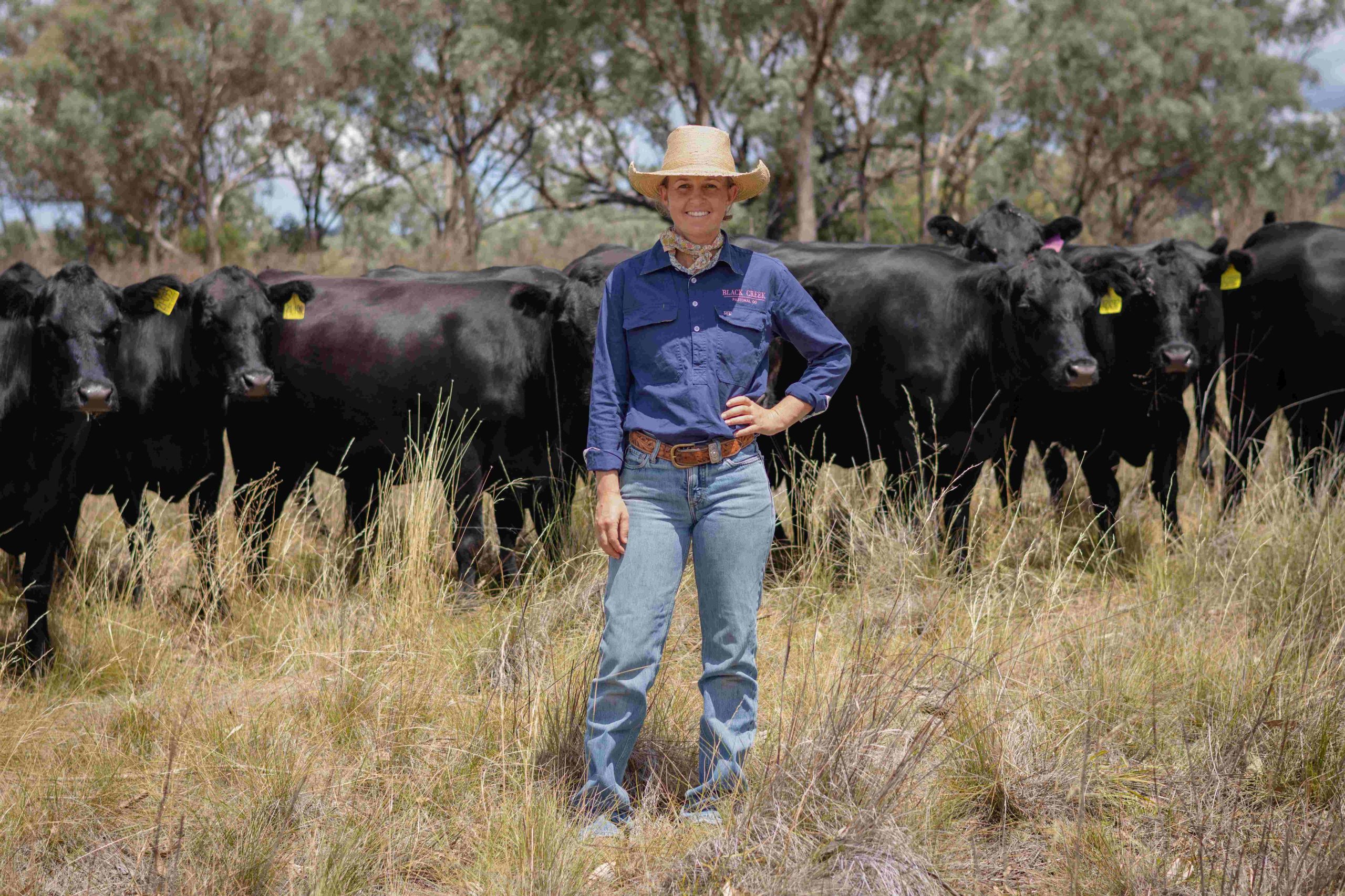 Maddy Pursehouse, Black Creek Pastoral with angus cattle herd