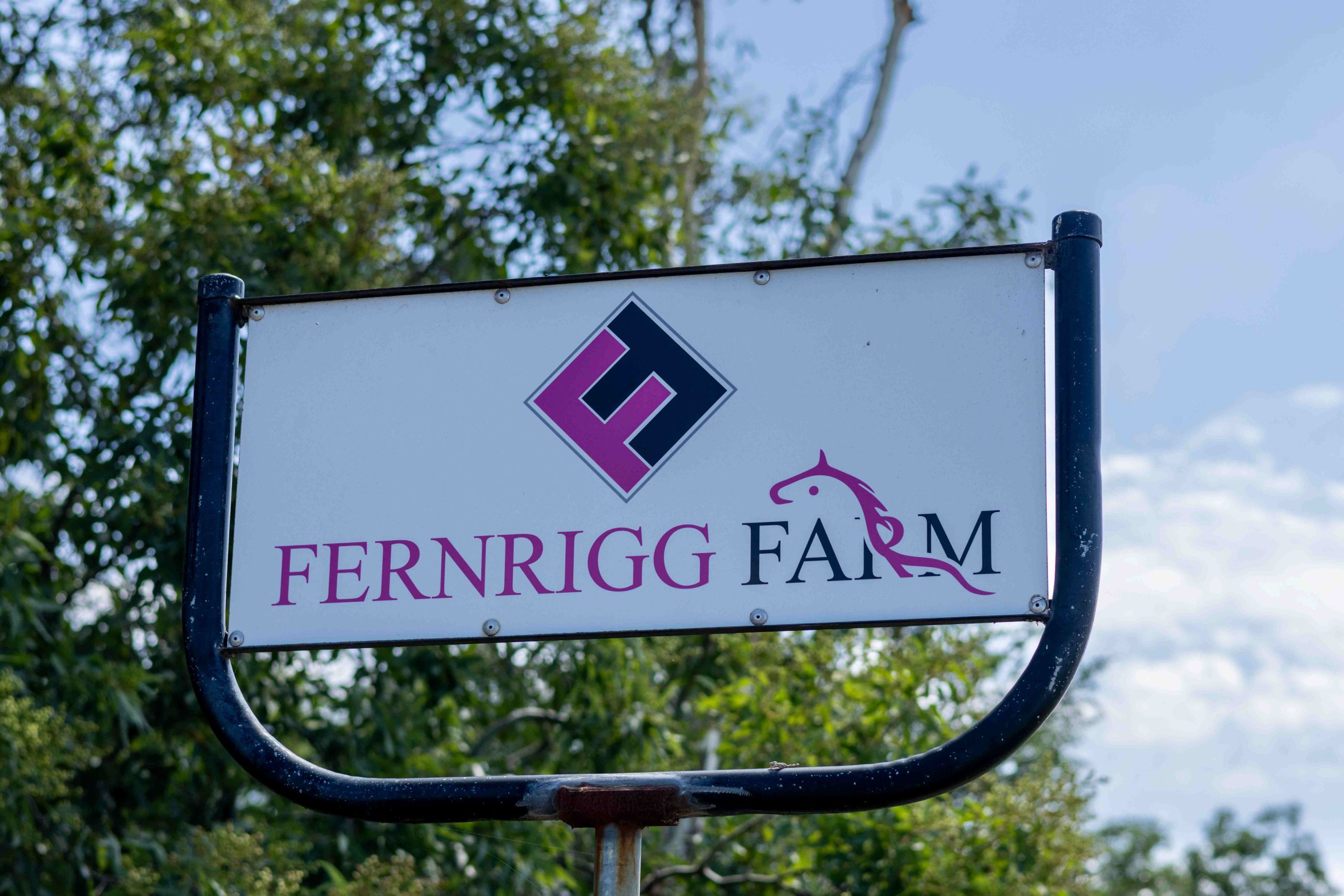Fernrigg Farm boutique thoroughbred stud