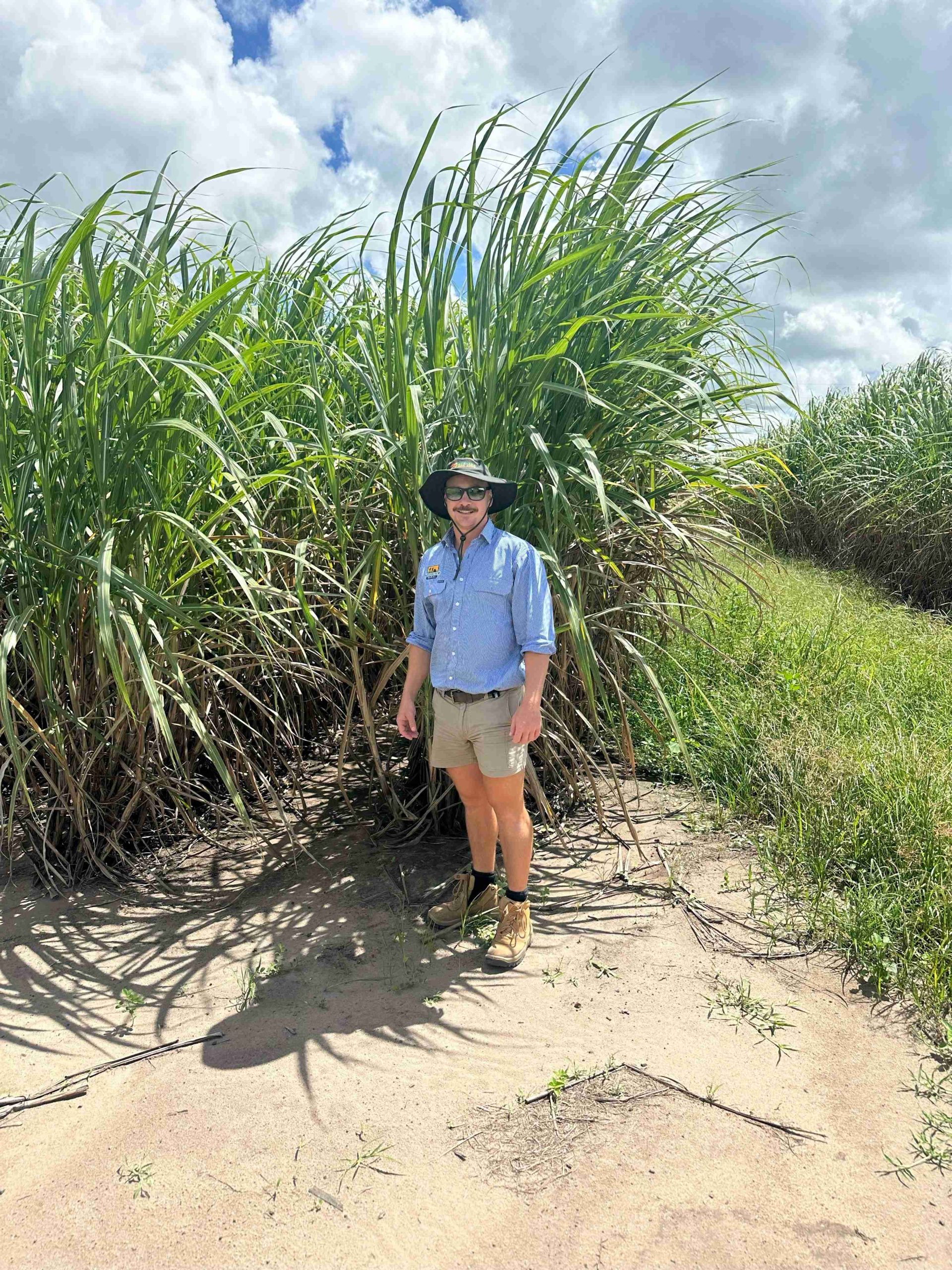 George Cole Pursehouse Rural Proserpine Agronomist in Sugarcane crop