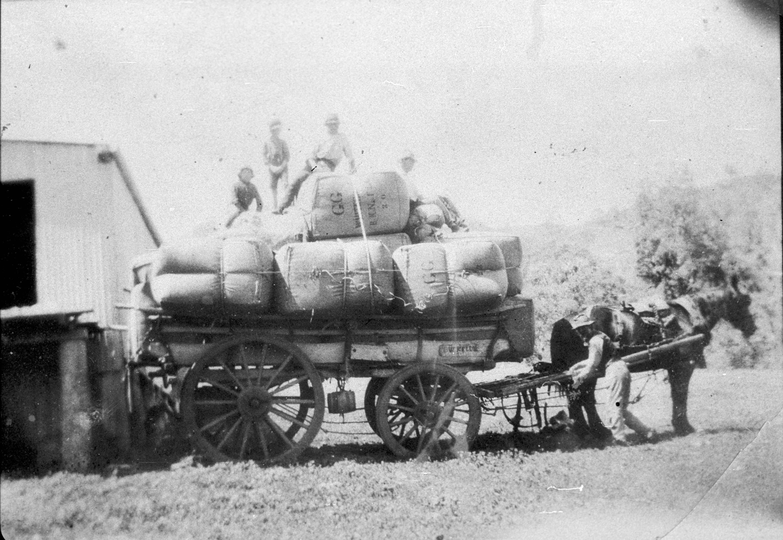 Loading wool bales at Basin Creek C.1924